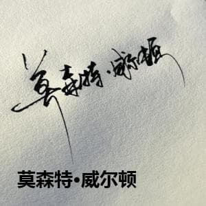 莫森特•威尔顿